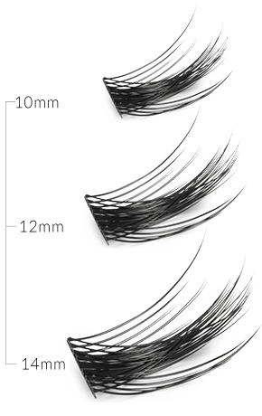 Longueurs de cils affichées : 10, 12, 14 mm