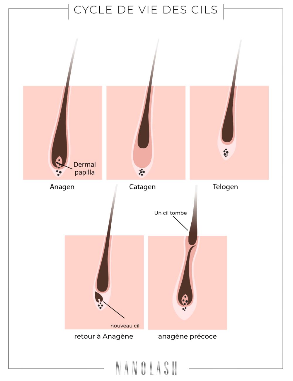 pourquoi les cils tombent